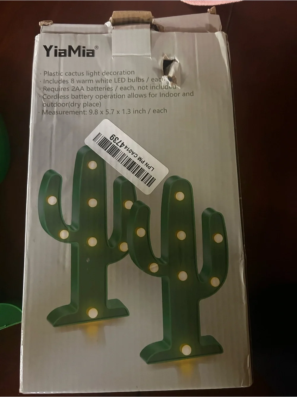N/A green cactus